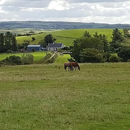 Lahinch View B&B 둘린