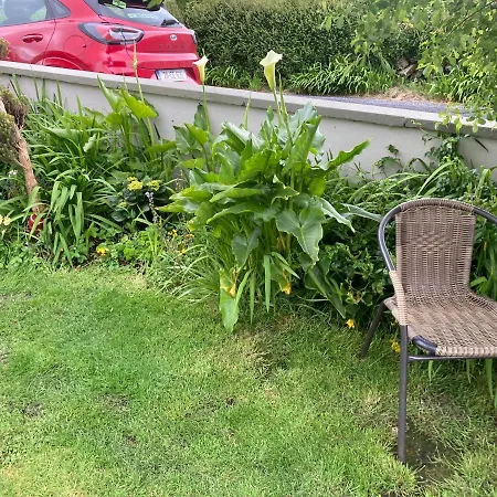 Lahinch View B&B 둘린