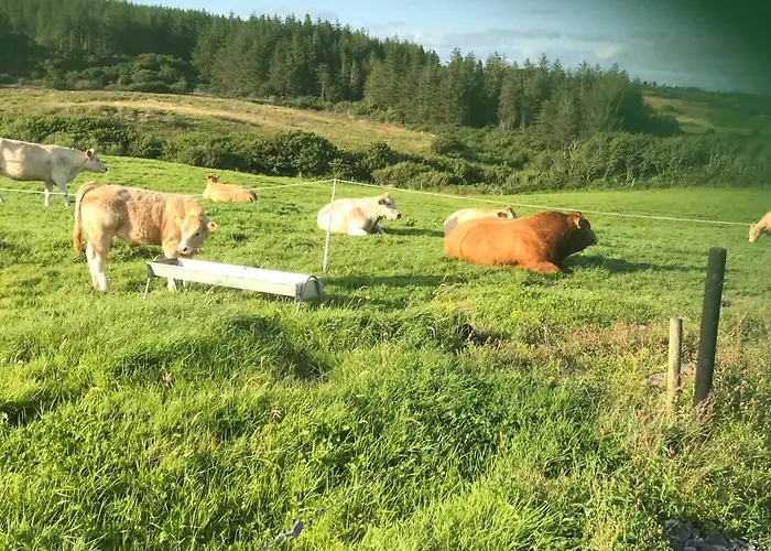 Lahinch View Bed & Breakfast 4*